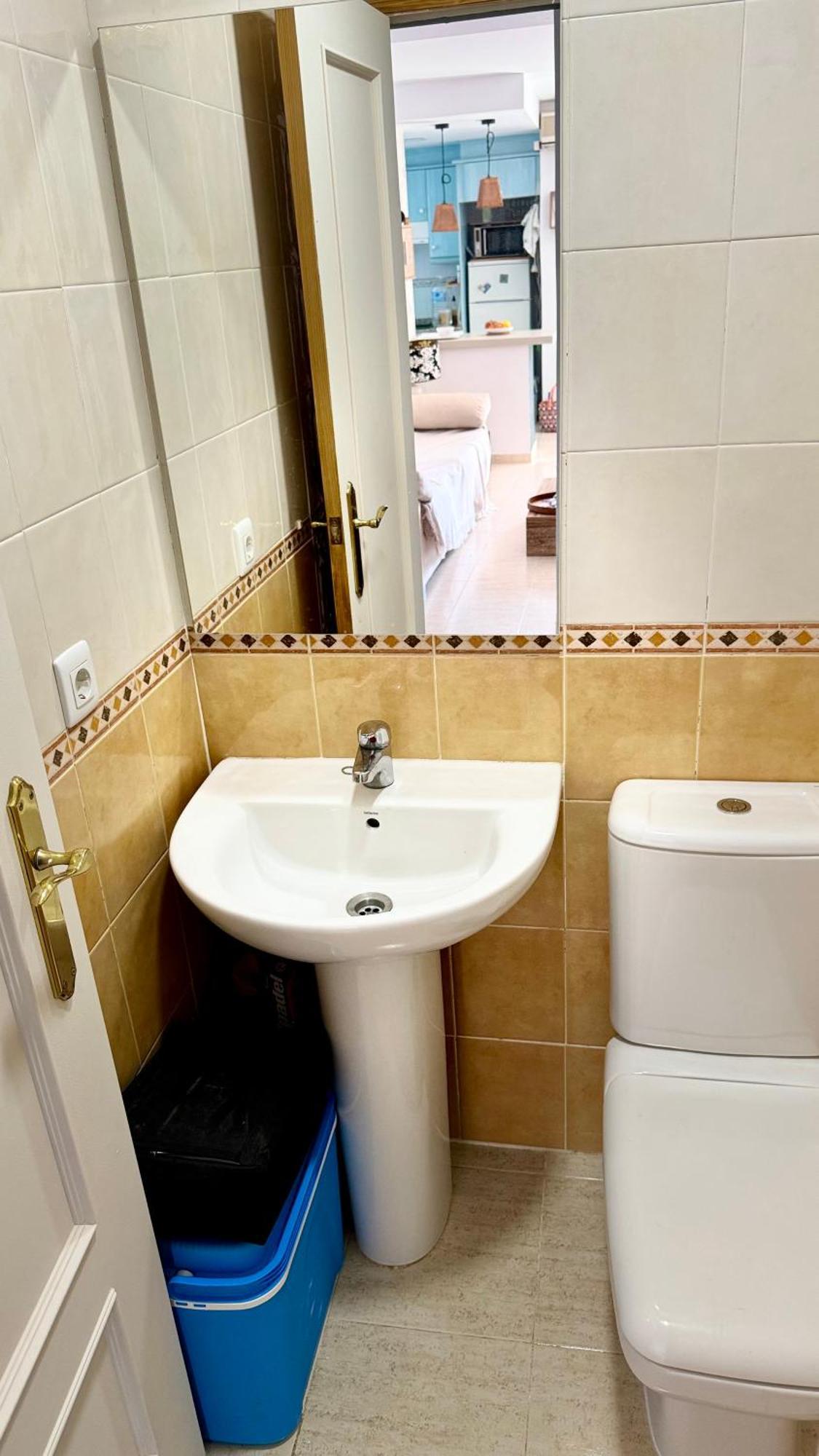 Datiler Vybdenia Dénia